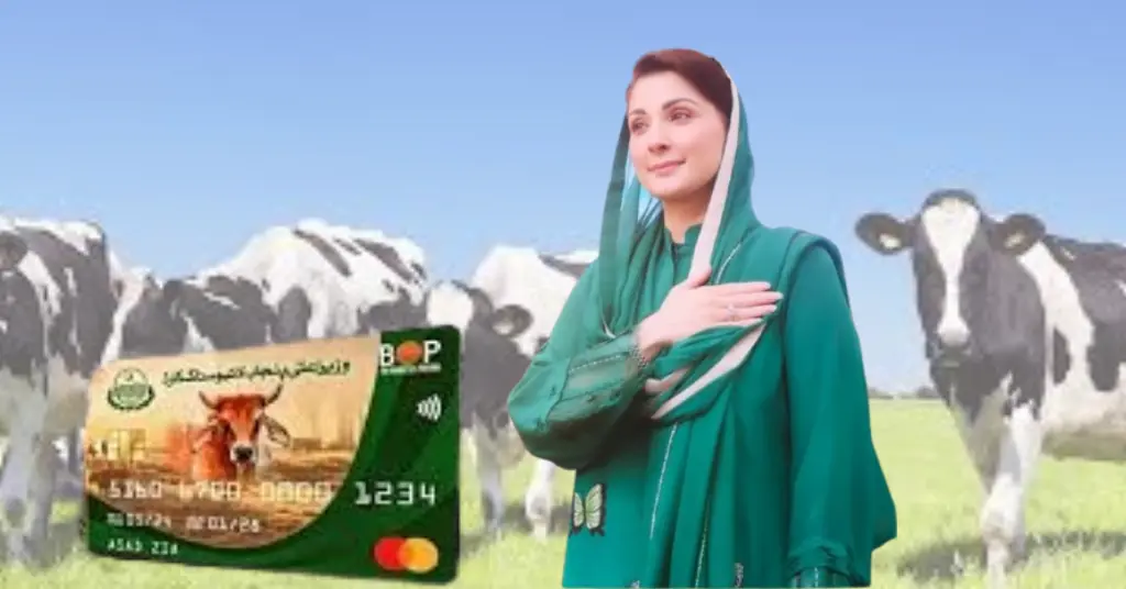CM Punjab Livestock Card Scheme 2025