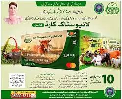 CM Punjab Livestock Card Scheme 2025
